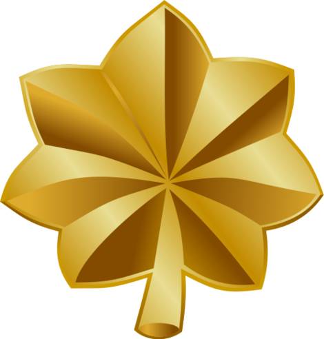 Military Officer Promotions