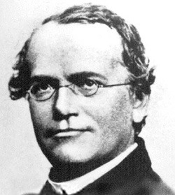 Gregor Mendel’s Grant Proposal Rejection