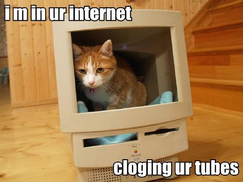 Why the Internet Will Fail