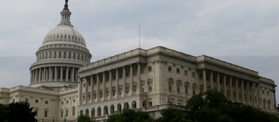 Secret Holds in the US Senate