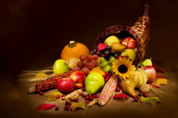 Happy Thanksgiving Forum!