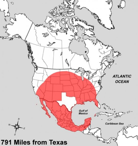 Texas is How Big?