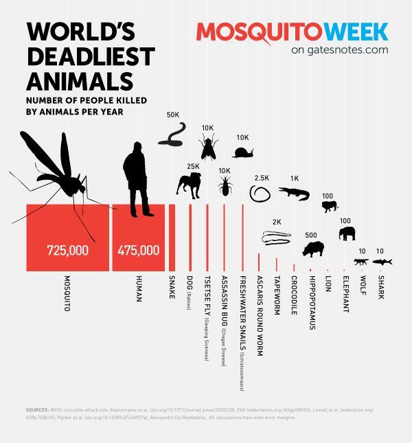 Mosquitoes Kill More People All Other Animals Combined