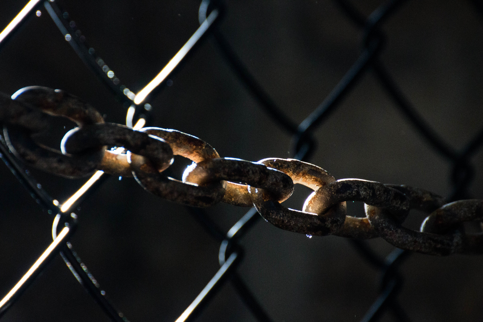 A Comparative Note on Prisoner Voting