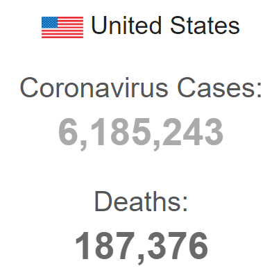 US Tops 6 Million COVID-19 Cases