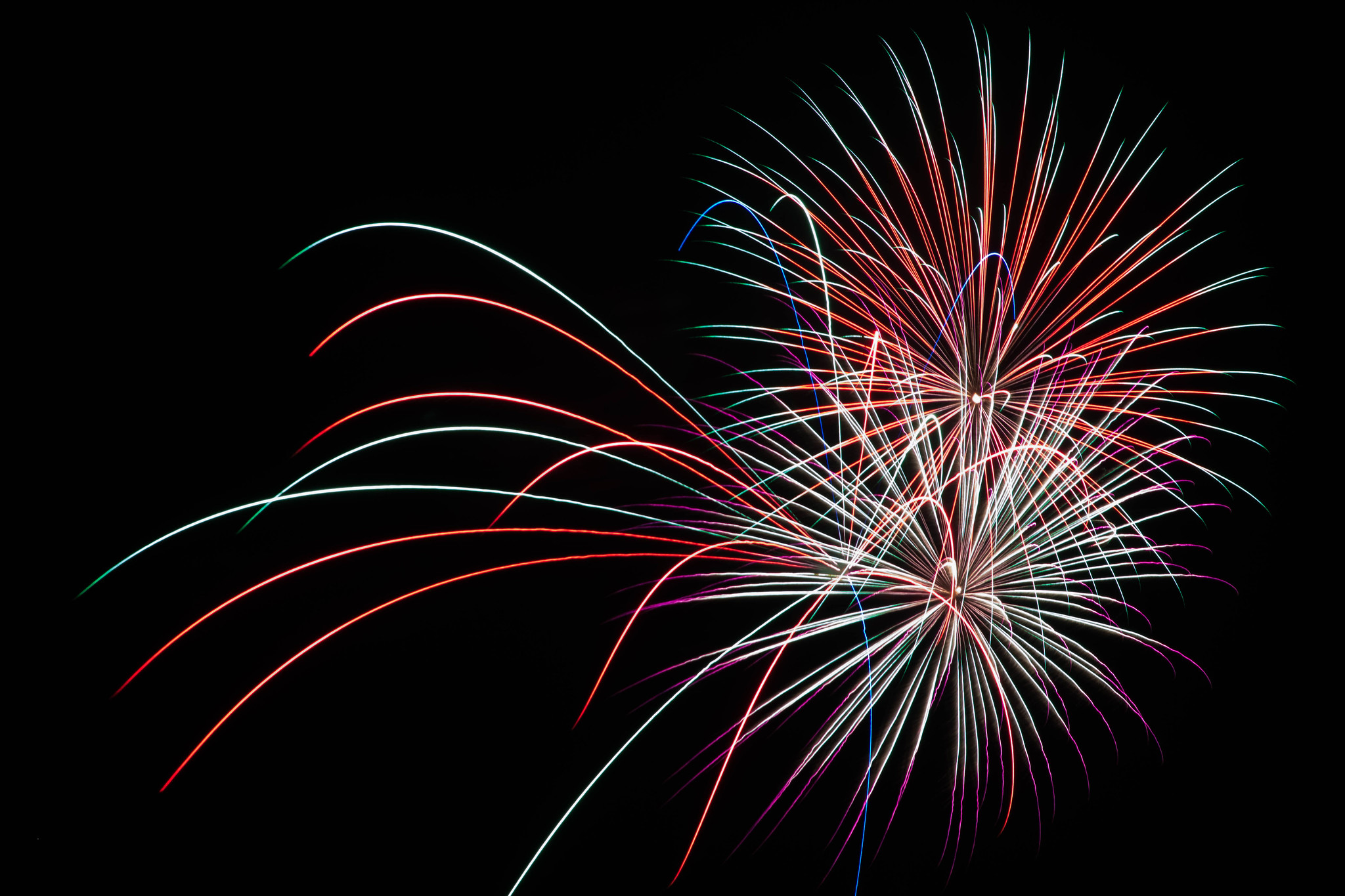 Happy 250th Forum!!