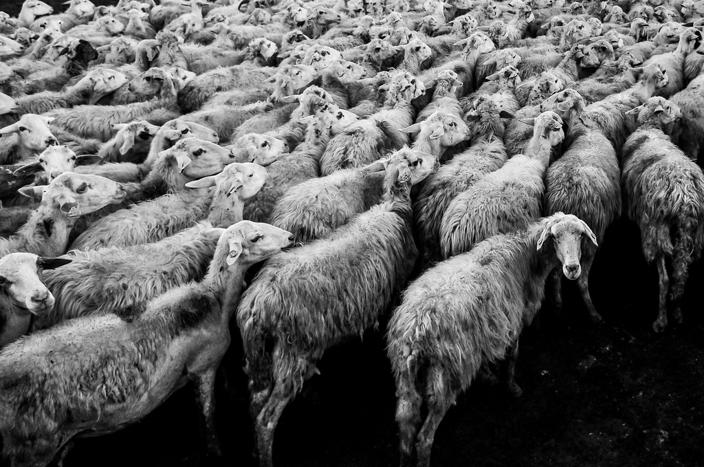 Britain Nears Herd Immunity