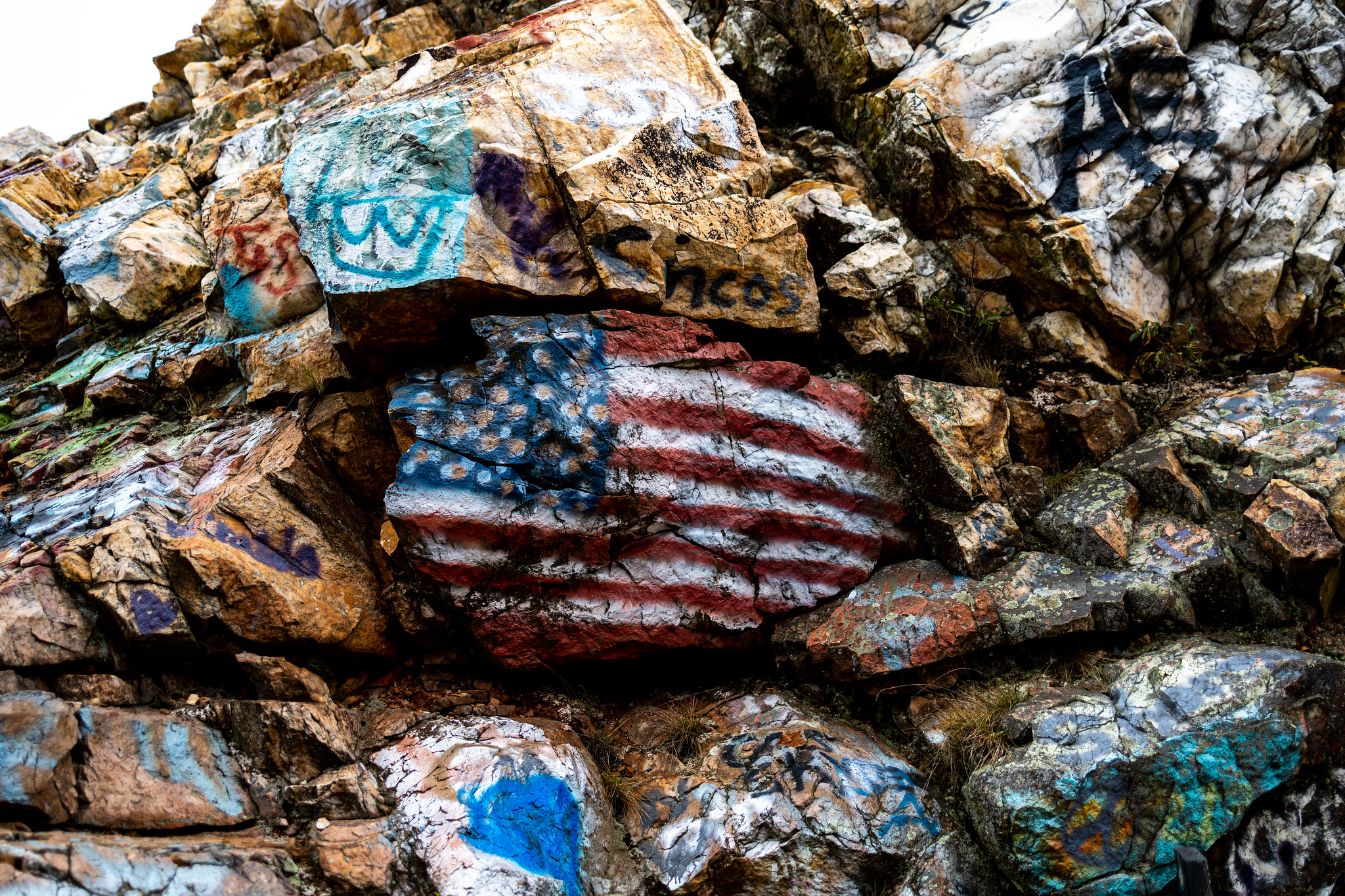 Trumpism:  A Photo Essay