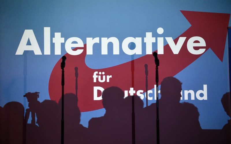 German Far-Right Dominates State Election